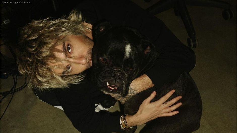Weiterer Schicksalsschlag für Bill Kaulitz: Sein Hund ist gestorben