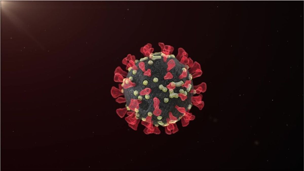 Forscher finden engsten Verwandten des Coronavirus