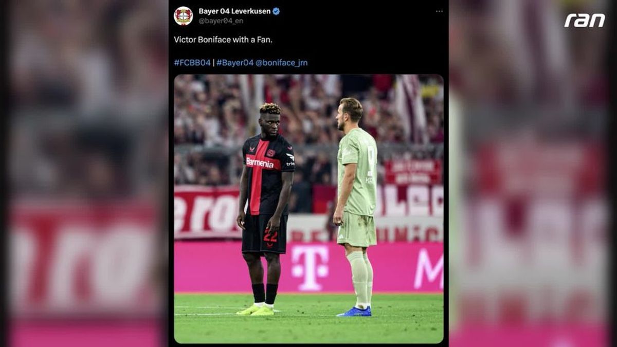 "Boniface mit einem Fan!" - Leverkusen stichelt gegen Kane
