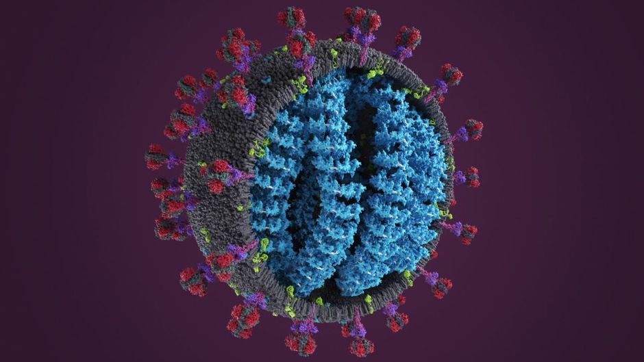 Das Ist Bislang über Die Neue Coronavirus-Variante Omikron Bekannt ...