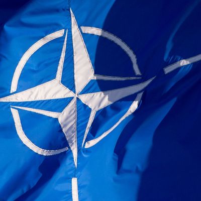Die jüngsten Forderungen nach einer NATO-Aufstockung von Trump stoßen auf Gegenwehr bei zwei Verteidigungsexperten von der FDP.