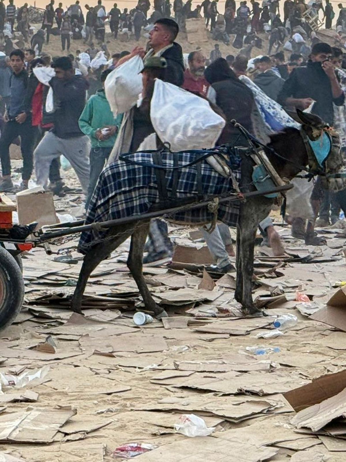 Nahostkonflikt - Gazastreifen