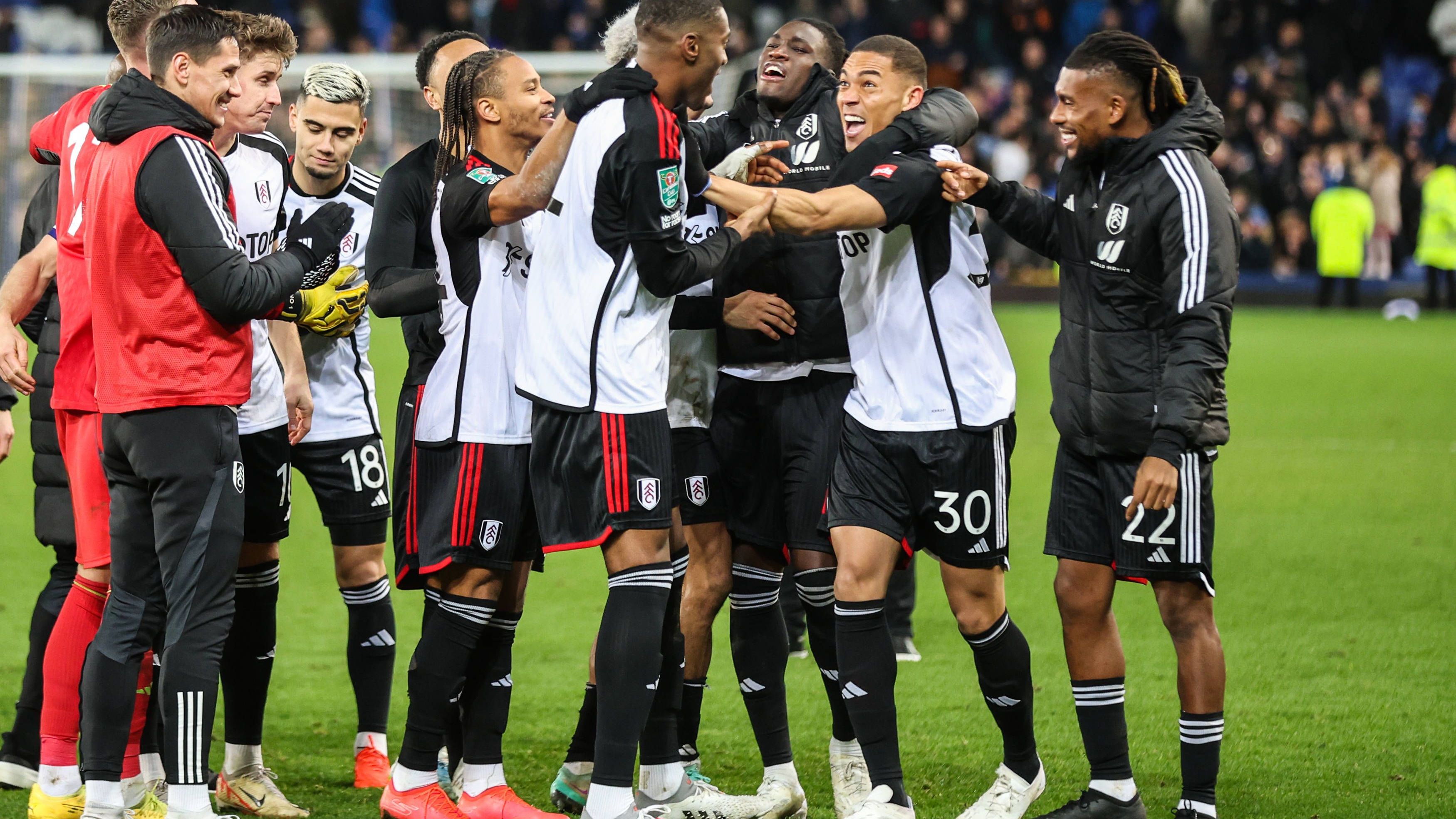 <strong>10. (geteilt) FC Fulham: 161 Millionen Euro</strong>