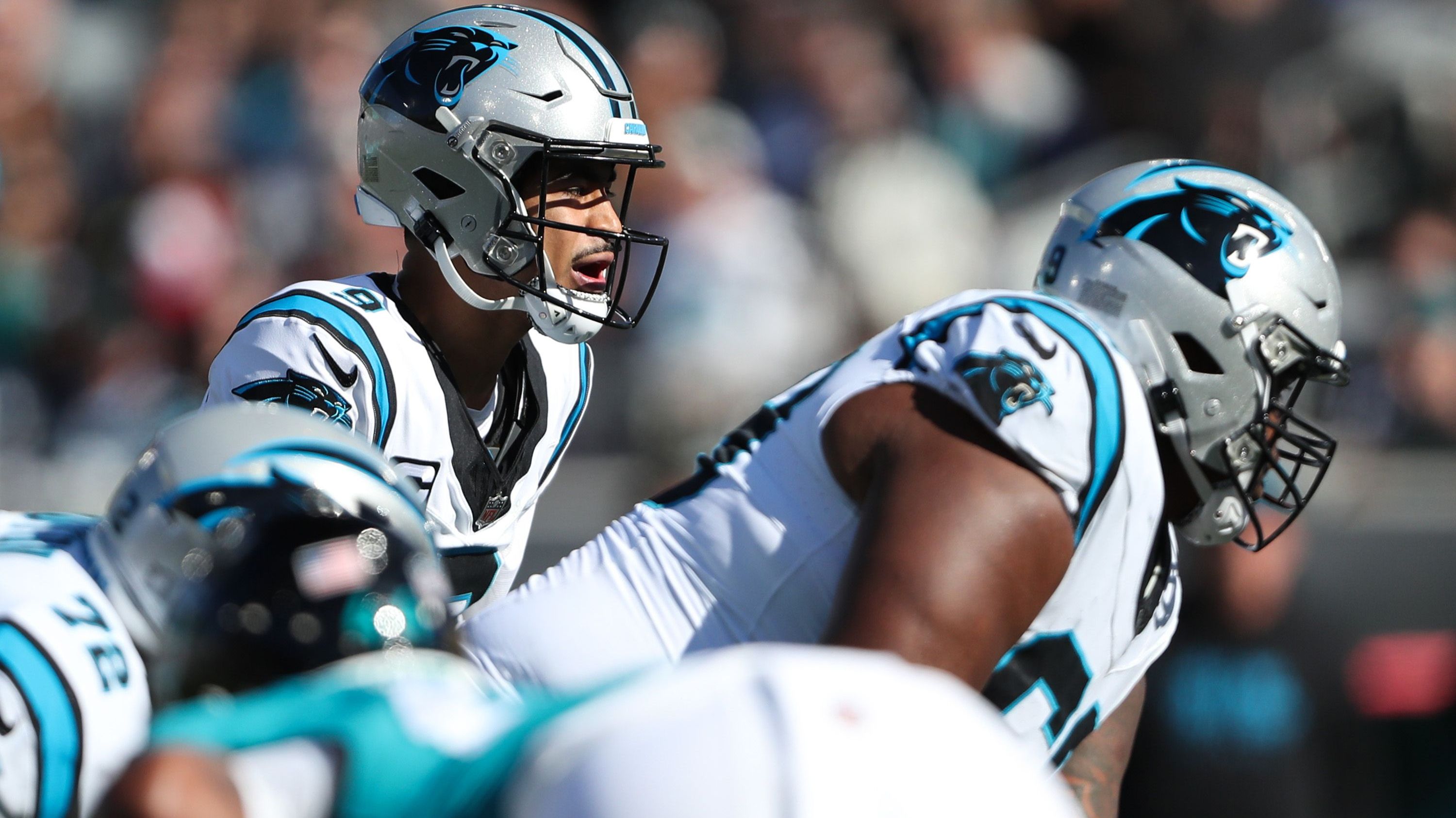 <strong>Platz 6 (geteilt): Carolina Panthers</strong><br>Quote: +1.400
