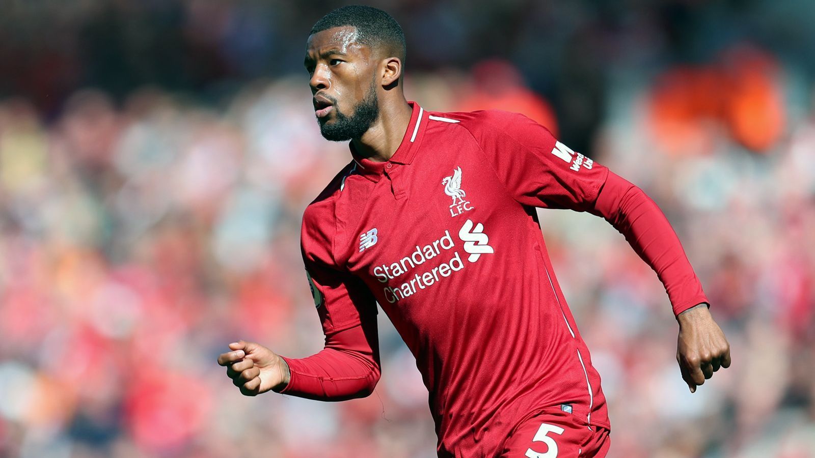 
                <strong>Mittelfeld - Georginio Wijnaldum (FC Liverpool)</strong><br>
                Ablöse: 28,4 Millionen EuroVerpflichtet von: Newcastle United
              