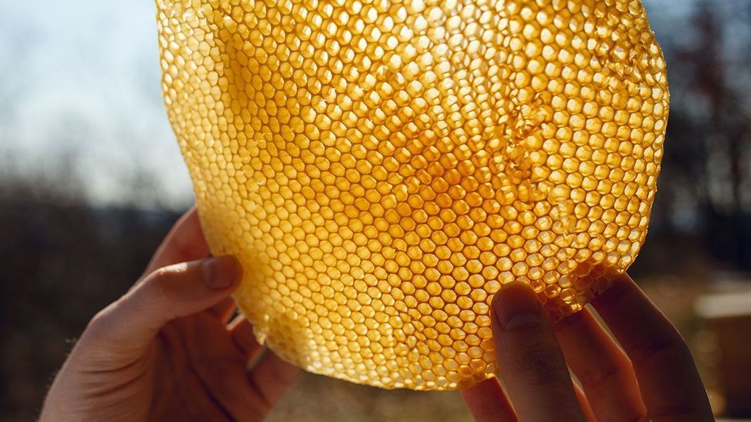 Heilende und beruhigende Wirkung – wie ihr mit Honig eine pflegende Maske für die Hände kreieren könnt, lest ihr hier.