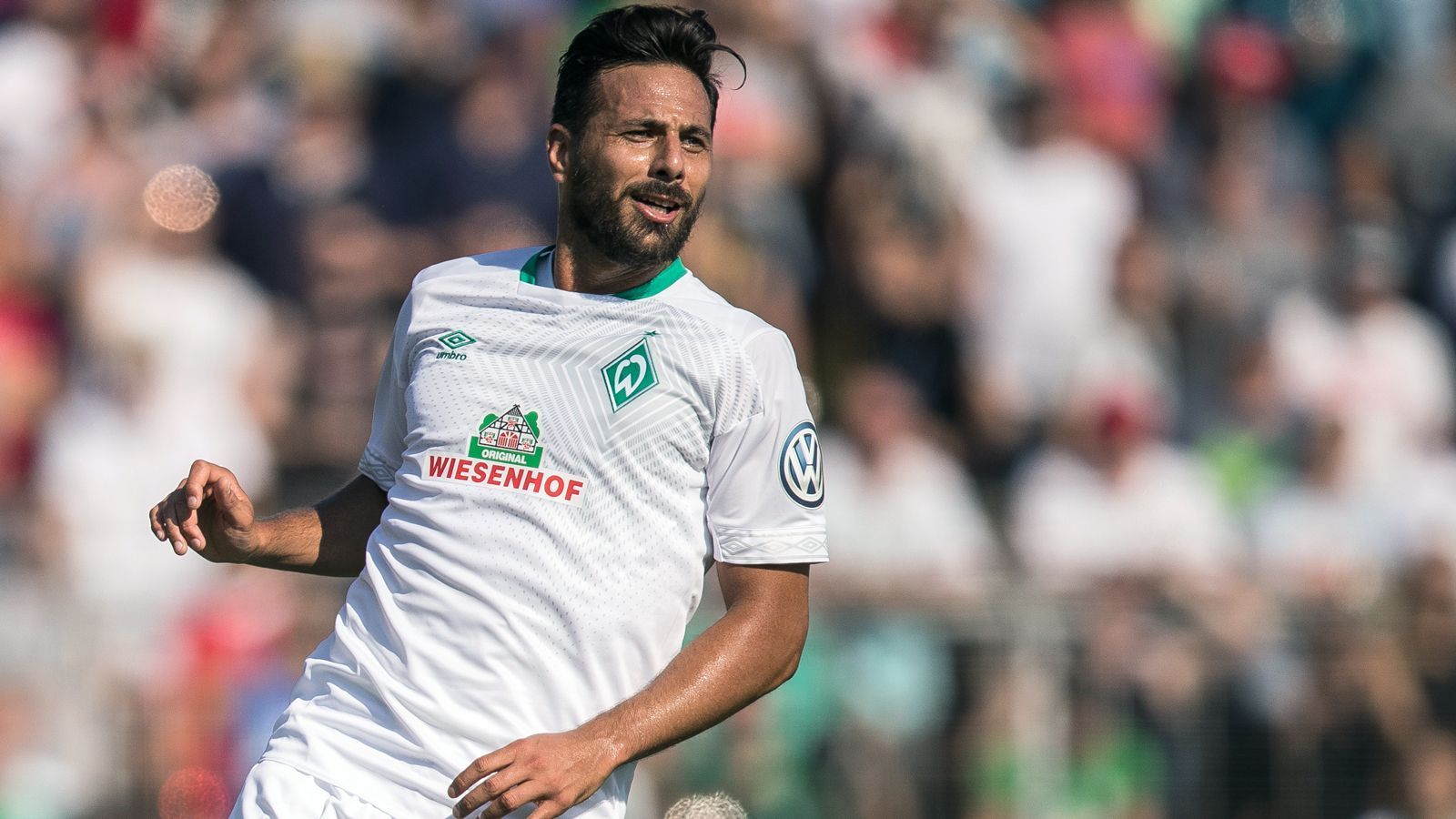 
                <strong>Platz 2: Claudio Pizarro</strong><br>
                197 Bundesliga-Tore für den FC Bayern München, den 1. FC Köln und Werder BremenNationalität: Peru
              