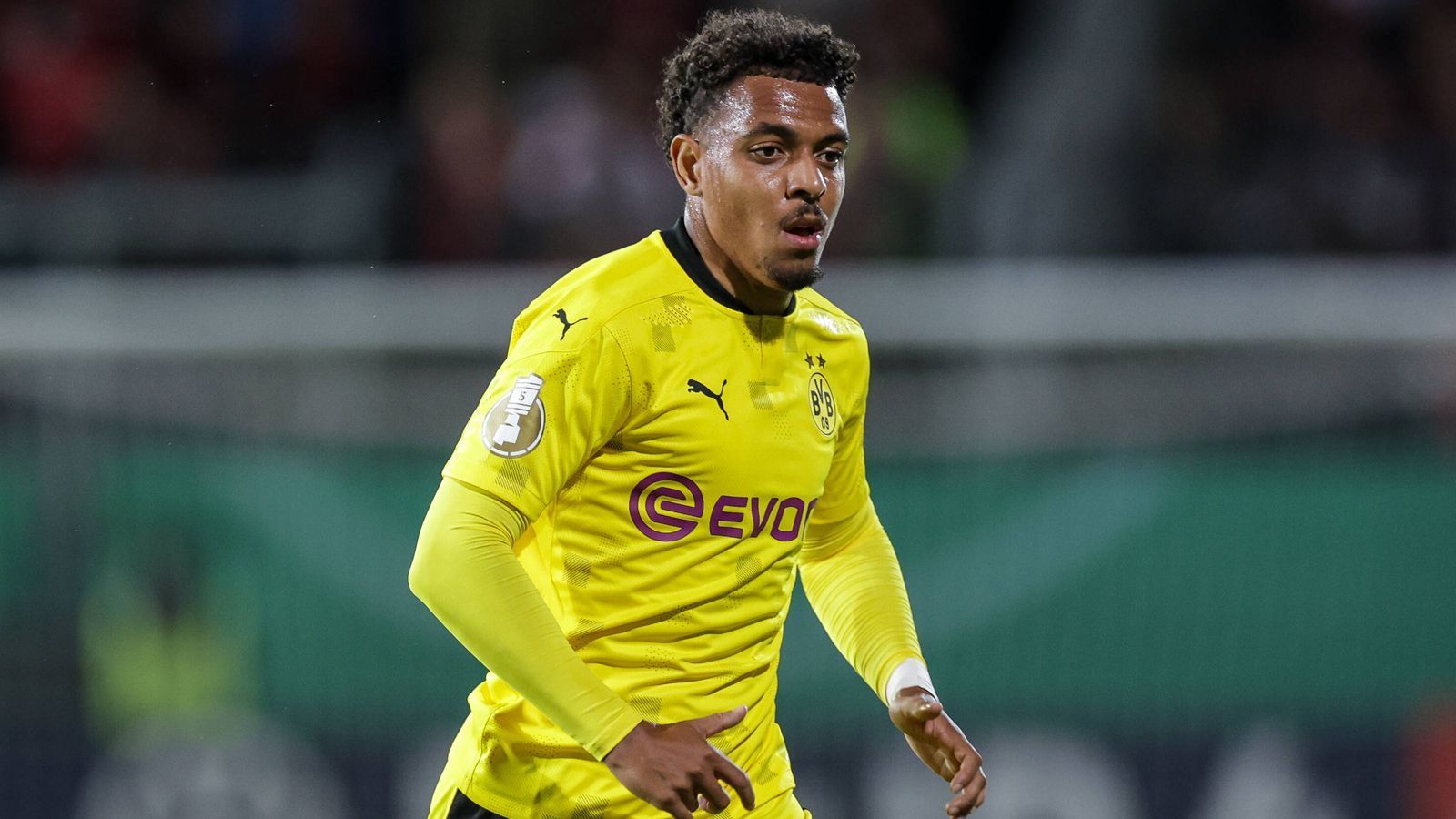 
                <strong>Donyell Malen</strong><br>
                Donyell Malen wurde im Sommer 2021 als Nachfolger für den zu Manchester United verkauften Jadon Sancho von der PSV Eindhoven geholt. Der Niederländer unterschrieb beim Bundesligisten einen Vertrag bis  und soll 30 Millionen Euro Ablöse gekostet haben.
              