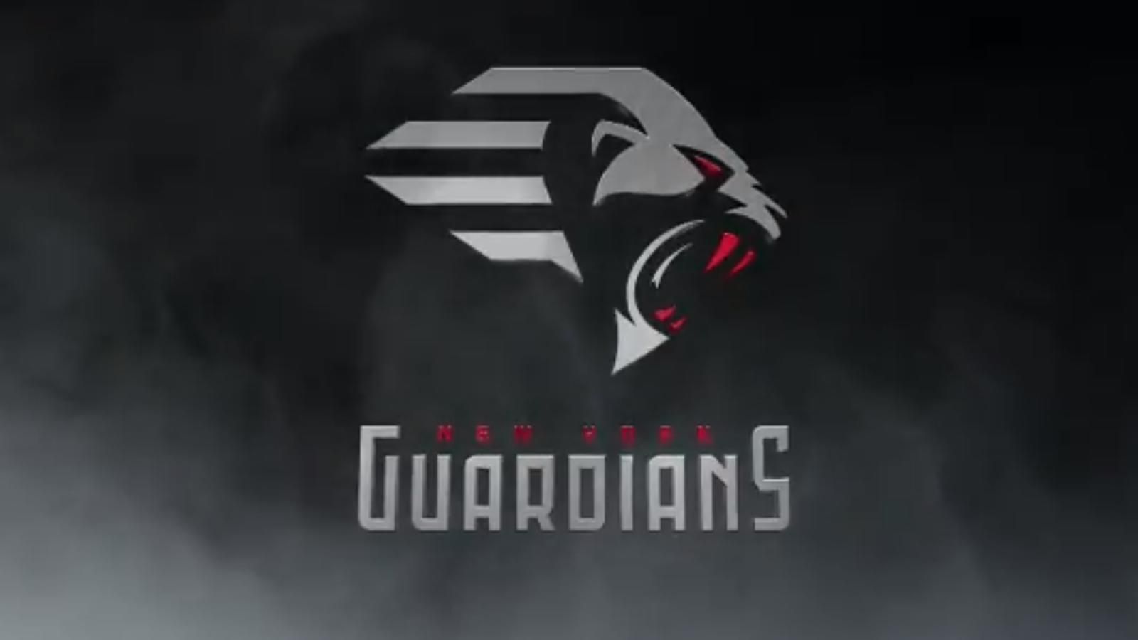 
                <strong>New York Guardians</strong><br>
                Head Coach: Kevin GilbrideStadion: MetLife Stadium
              