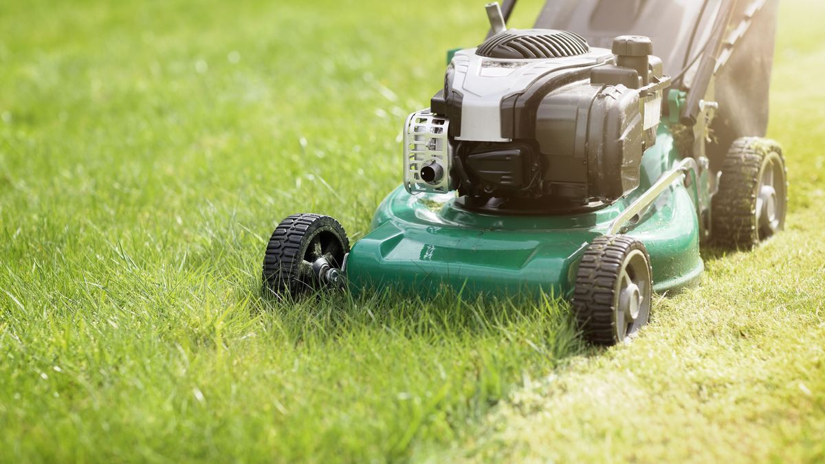 Rasenmäher: Die verschiedenen Arten und ihre Einsatzgebiete