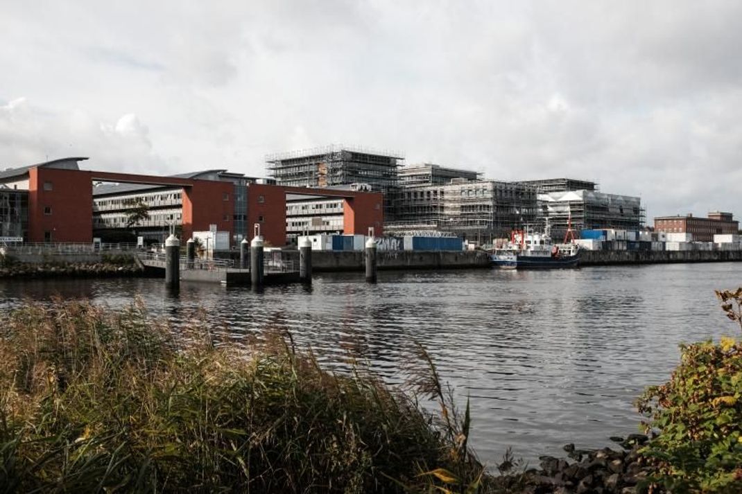 Laut den Experten des GEOMAR mit Sitz in Kiel (Foto) befinden sich die OFG hauptsächlich in Regionen mit bis zu 55 Kilometern Entfernung zur jeweiligen Küste und in etwa 100 Metern Wassertiefe.