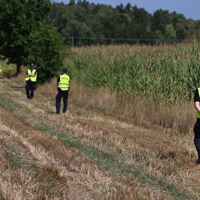 Unbekanntes Flugobjekt stürzt in Polen in Maisfeld