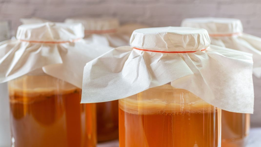 Kombucha, ein spritziges Erfrischungsgetränk, wird durch Fermentierung mit Hilfe eines Teepilzes hergestellt. Diese gallertartige Masse nennt man Scoby ("symbiotic culture of bacteria and yeast").
