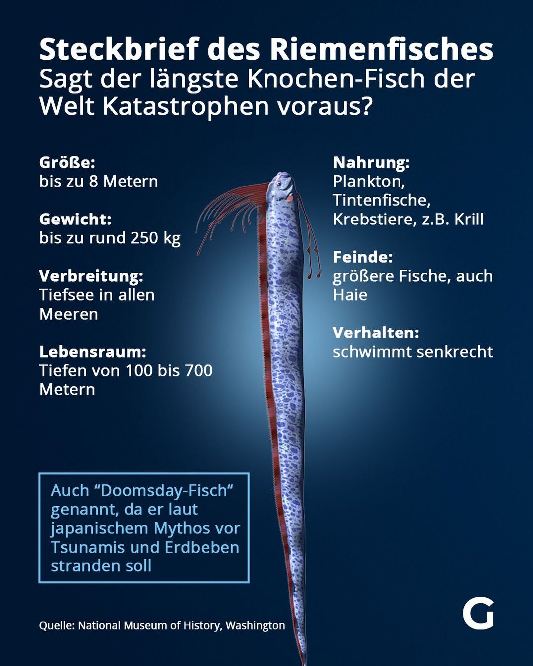 Fakten zum Riemenfisch