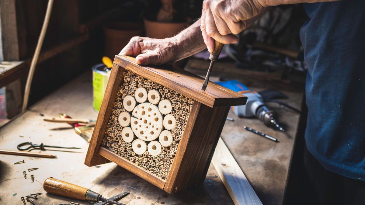 Insektenhotel selber bauen