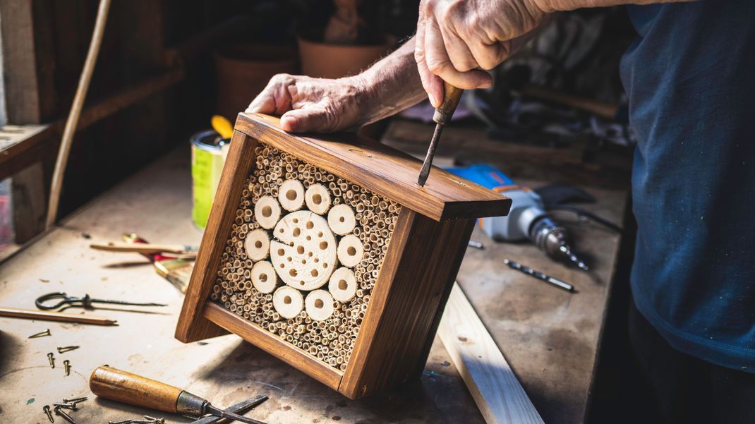 Mit einem DIY-Insektenhotel tun Sie nicht nur den heimischen Tieren, sondern auch Ihrem Garten etwas Gutes.