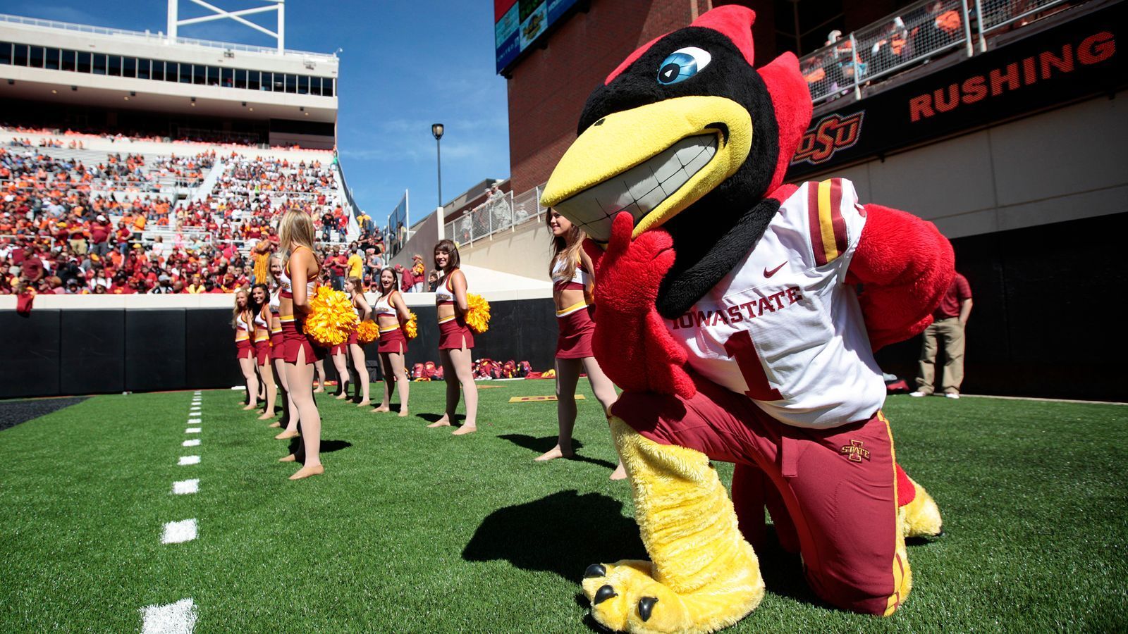 
                <strong>Iowa State Cyclones - wer ist das Maskottchen?</strong><br>
                Das Maskottchen ist trotz der Namensänderung weiterhin ein Cardinal und heißt "Cy the Cardinal".
              