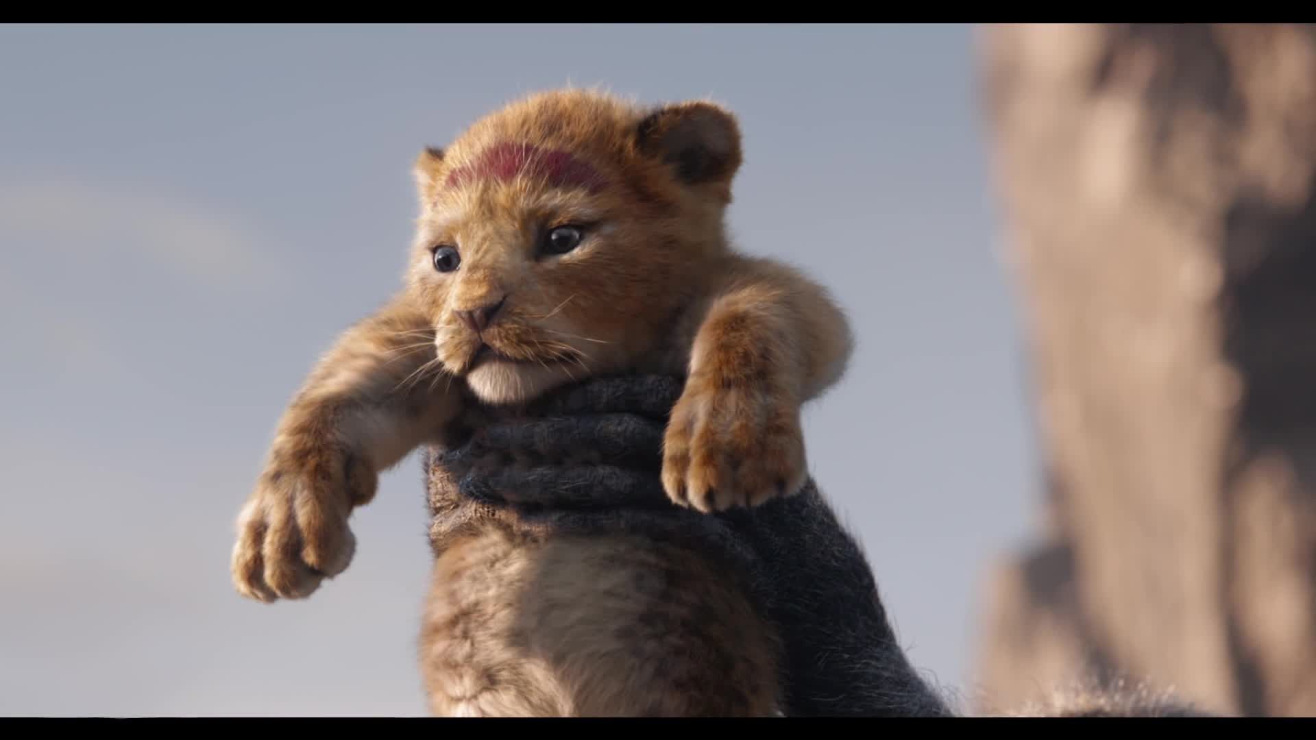 Der König der Löwen: Erster Trailer zur Realverfilmung!