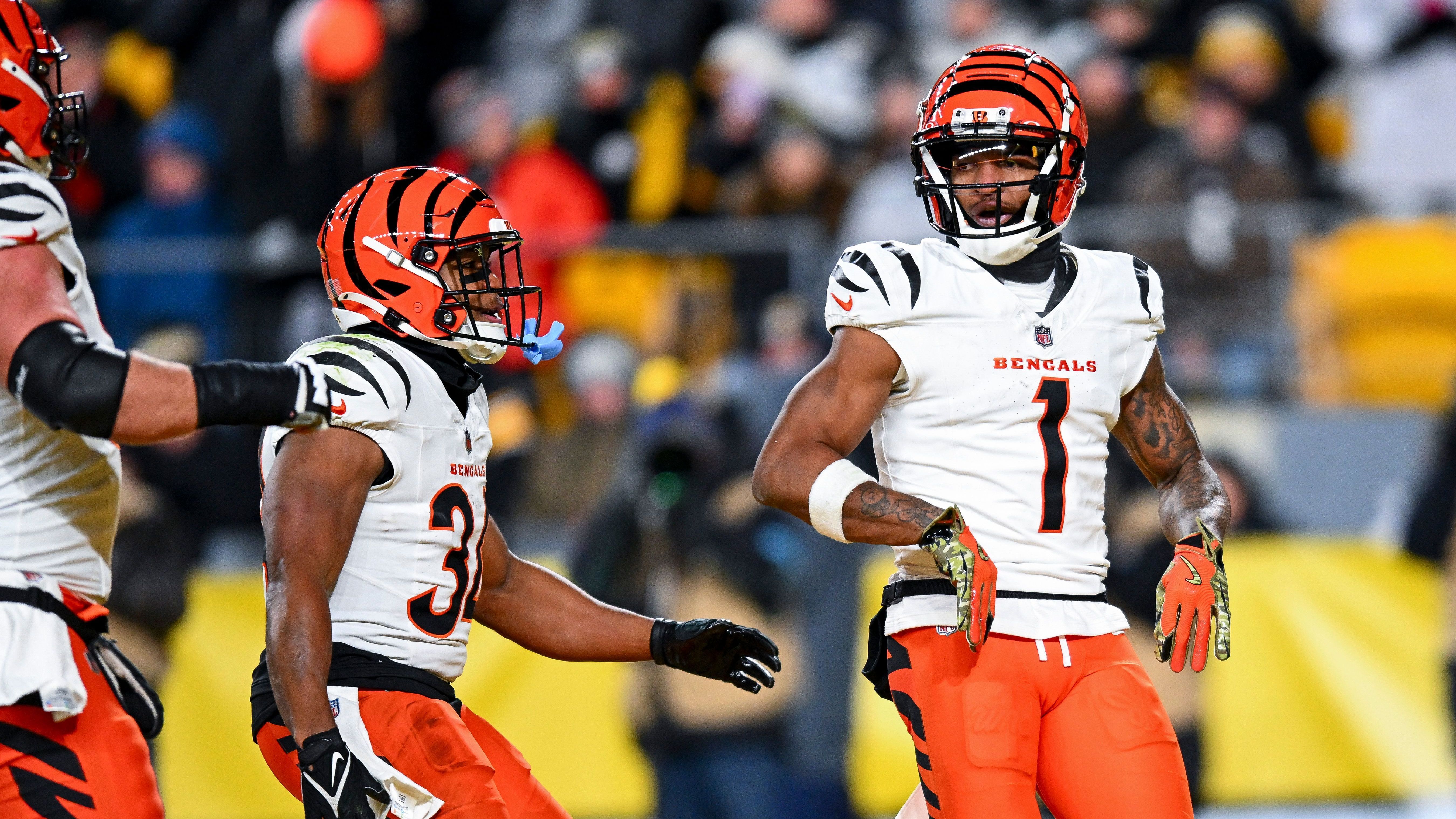 <strong>Platz 30 (geteilt): Cincinnati Bengals</strong><br>Platzverweise: 3