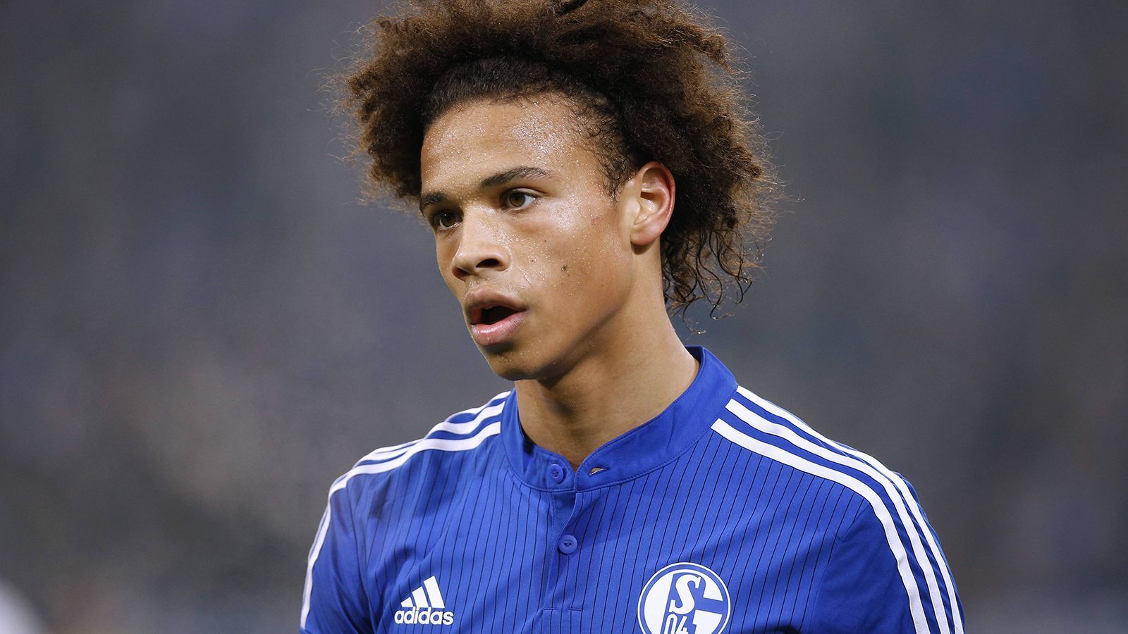 
                <strong>GEWINNER: FC Schalke 04</strong><br>
                Schalke als Gewinner? Ja, es ist schon bitter, wenn die besten Spieler aus der eigenen Akademie woanders auf Torejagd gehen, aber trotzdem profitiert S04 beim Transfer. Rund zwei Millionen Euro könnte Schalke laut "Football Leaks" kassieren. Königsblau kann jeden Cent gebrauchen.
              