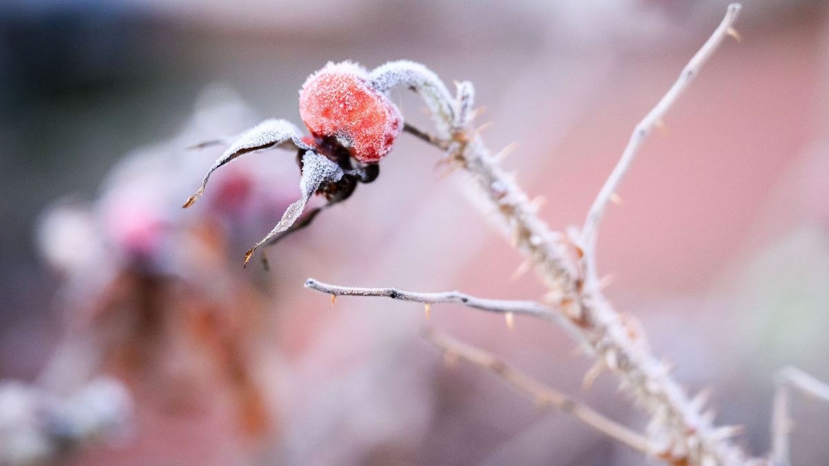 Winterwetter