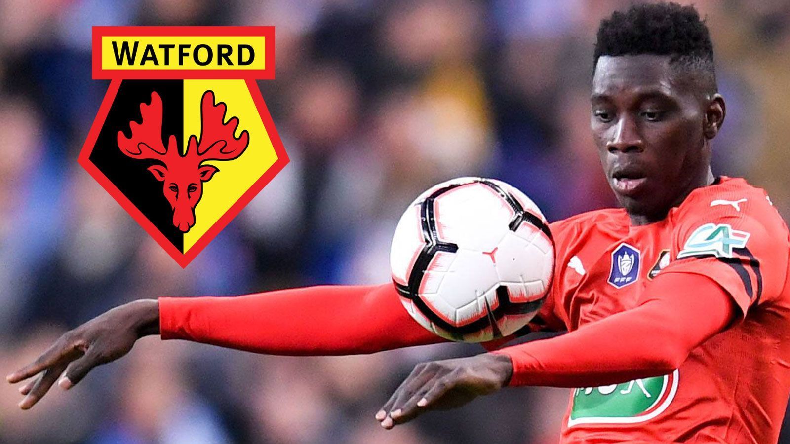 
                <strong>FC Watford</strong><br>
                Gesamtausgaben: 36,1 Millionen EuroTeuerster Einkauf: Ismaila Sarr (30 Millionen Euro)
              