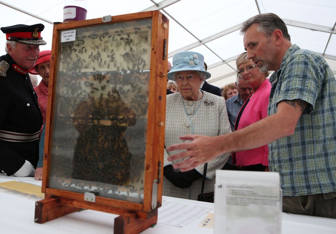 Queen Elizabeth hatte ein Herz für Bienen - und sogar eigene Bienenstöcke! Hier besichtigte sie Imker beim 150. Geburtstag der Turriff Show in Turrif.