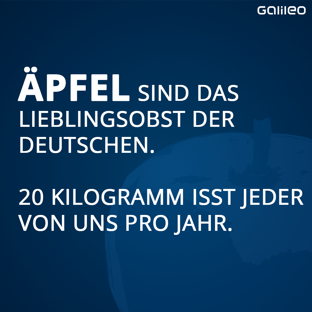 Äpfel sind das Lieblings-Obst der Deutschen. 