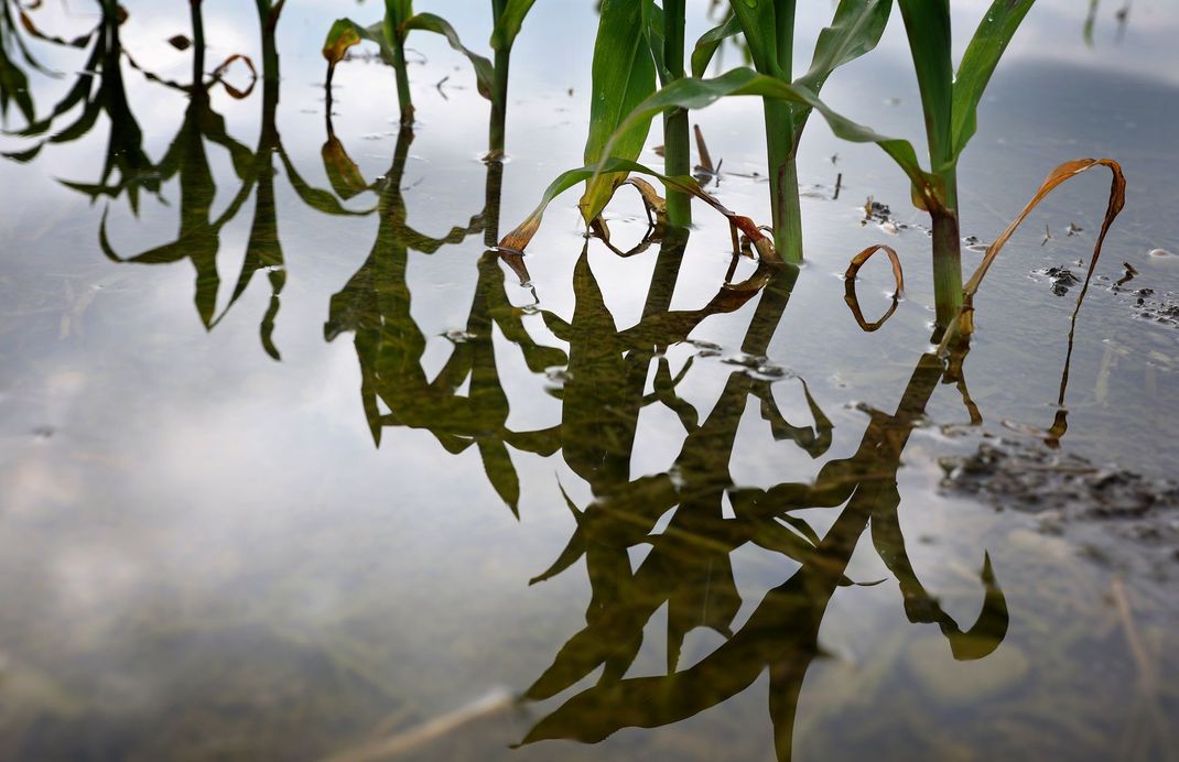 Mit einer neuen Maßnahme will sich die EU für Klimaschutz einsetzen. (Symbolbild)
