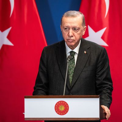 Recep Tayyip Erdoğan, Präsident der Türkei, droht den Mördern der achtjährigen Erin. 