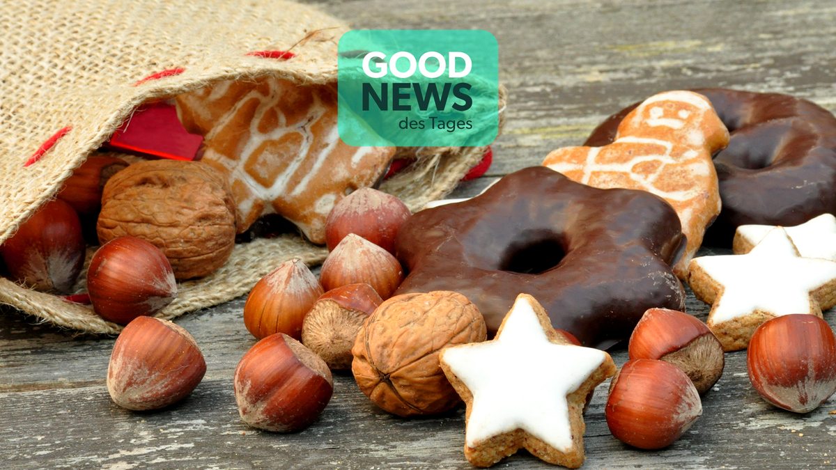 Good News des Tages: So gesund sind Nüsse wirklich