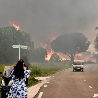 Großbrand in der Nähe von Argeles-sur-Mer im Südwesten Frankreichs 