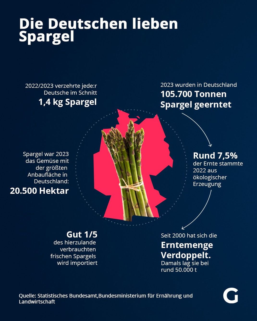 Die Deutschen lieben Spargel