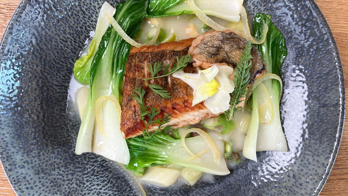 Zander gebraten mit Kartoffel-Spargel-Ragout, Baby-Pak Choi und Salzzitrone