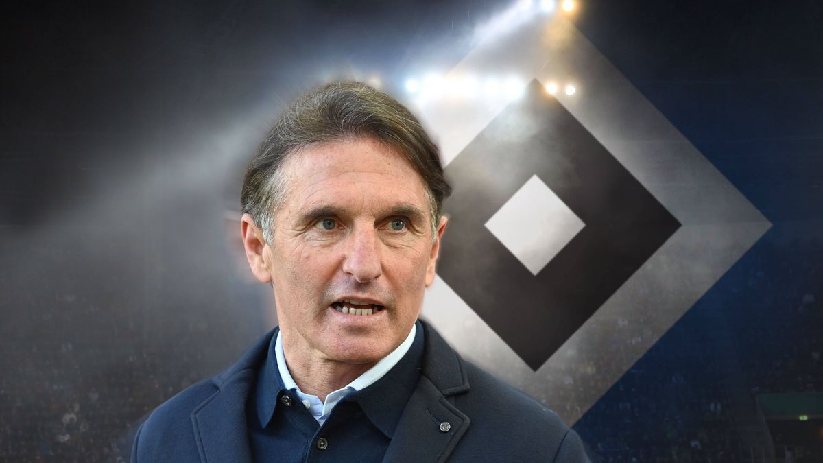 FOTOMONTAGE: Bruno Labbadia wird moeglicherweise Trainer des Hamburger SV ARCHIVFOTO Fussball 2. Bundesliga *** PHOTOMONTAGE Bruno Labbadia may become coach of Hamburger SV ARCHIVE PHOTO Soccer 2 B...