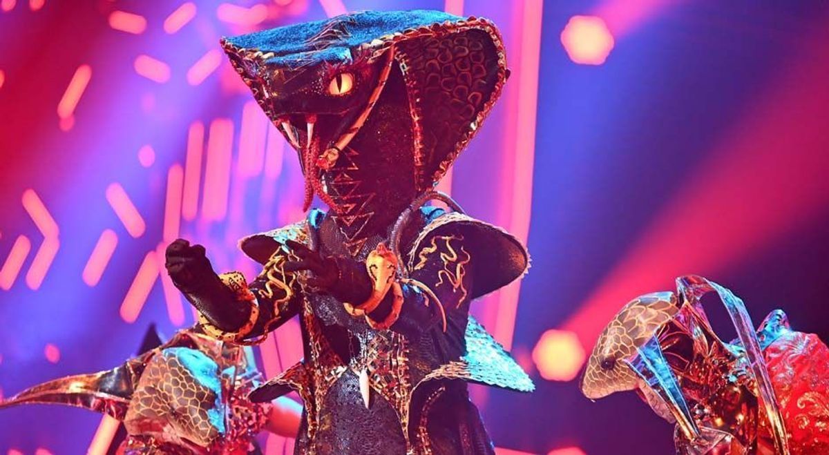 TMS 2022 Enthüllung Black Mamba