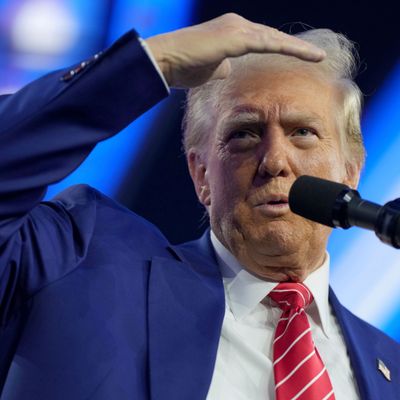 In seiner ersten Amtszeit war auch Donald Trump für ein Verbot der beliebten Plattform. 
