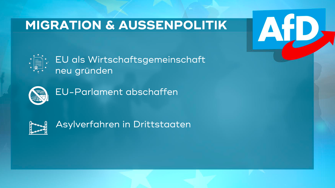 Die zentralen Forderungen der AfD in Bayern im Bereich "Migration und Außenpolitik" zur Europawahl 2024.