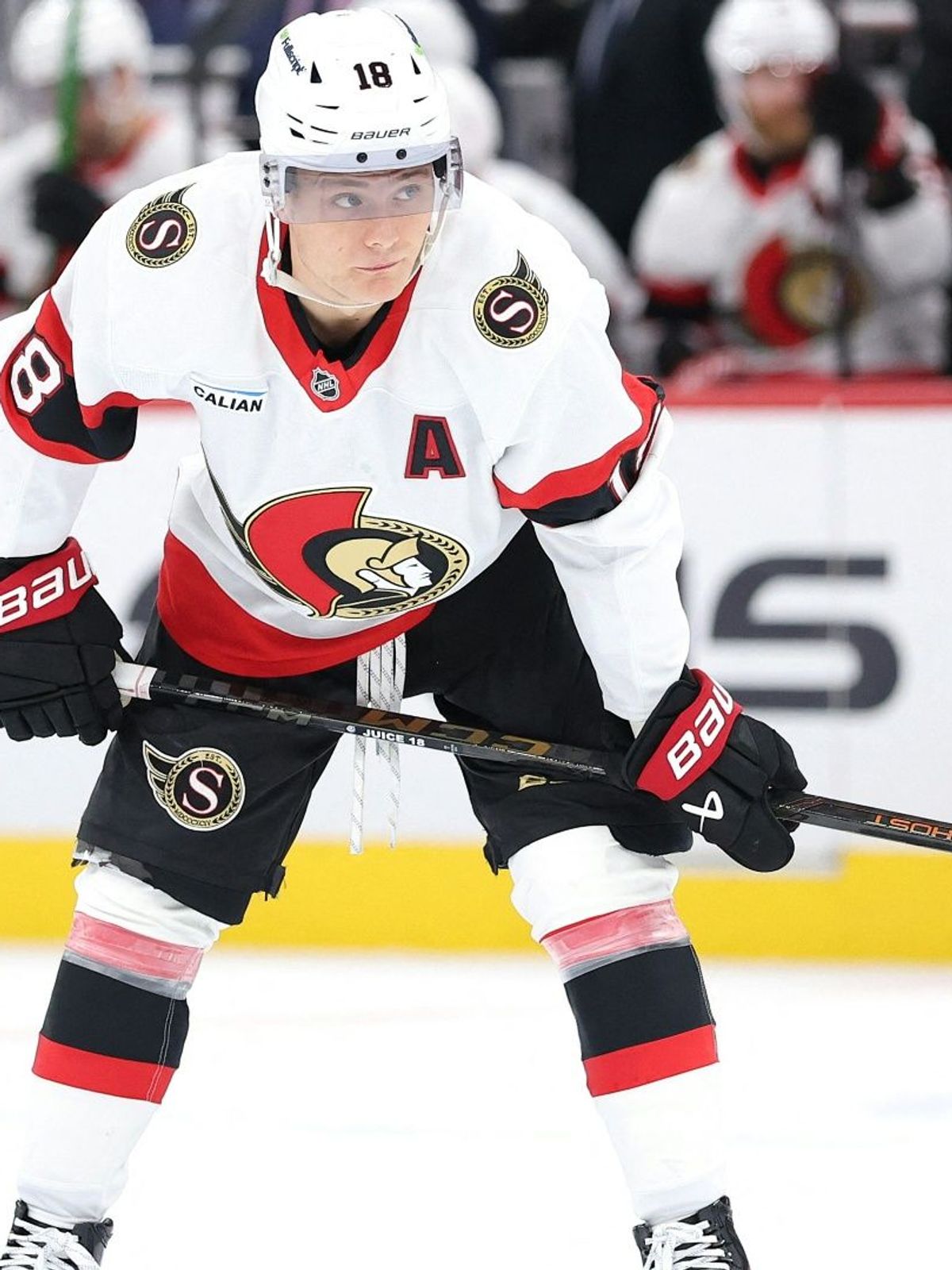 Stützle und seine Senators unterliegen Sturms Bruins