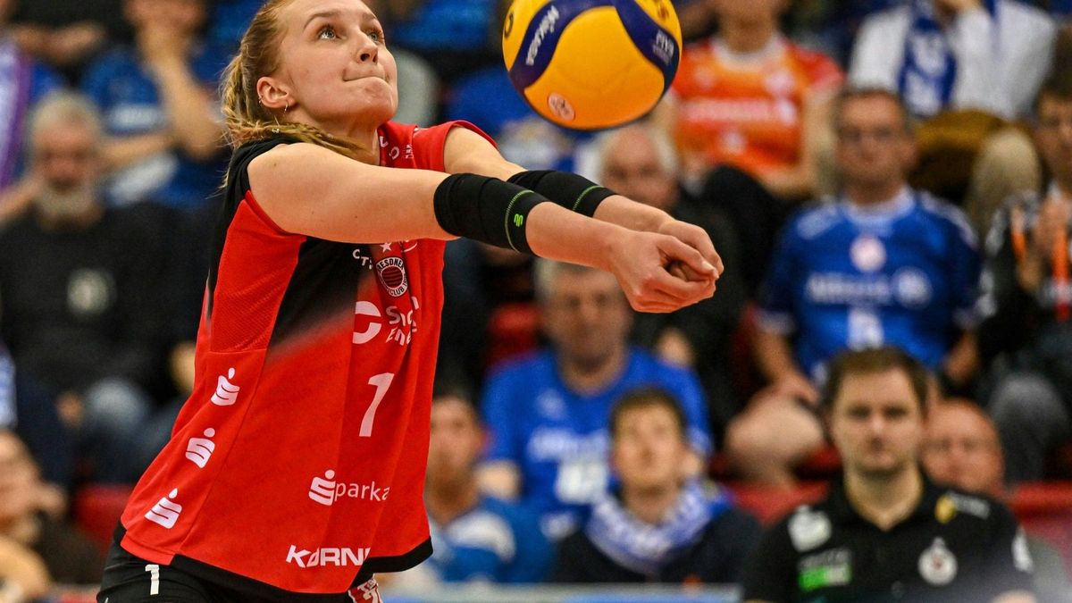 Nestler spielt seit 2024 in Dresden