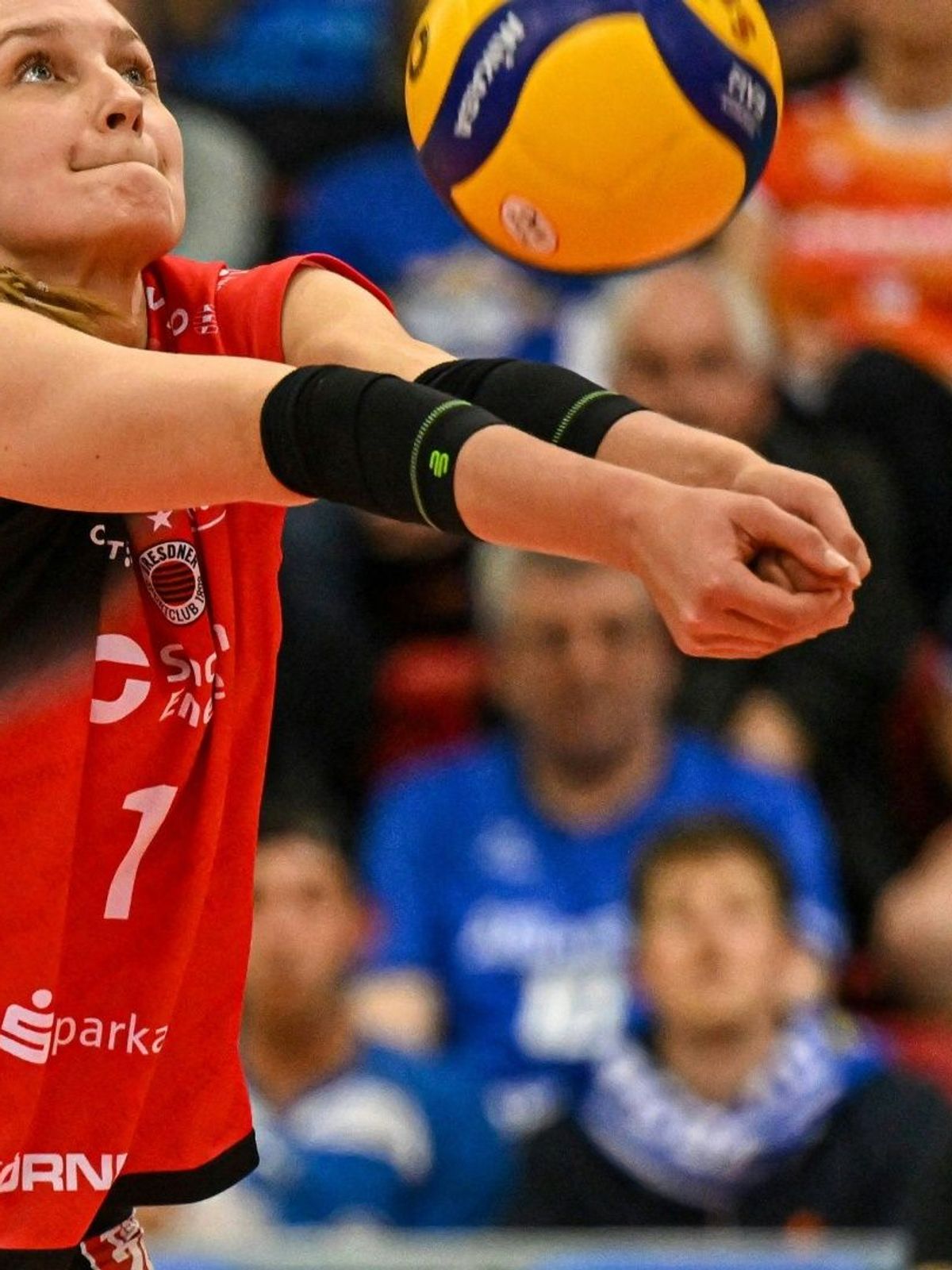 Nestler spielt seit 2024 in Dresden