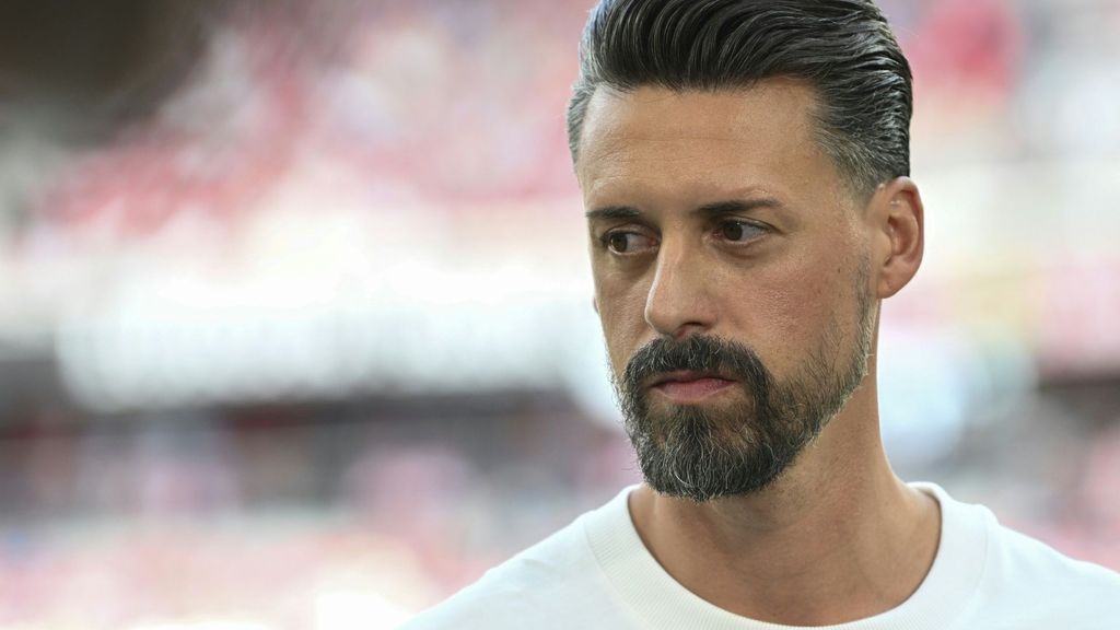 Sandro Wagner