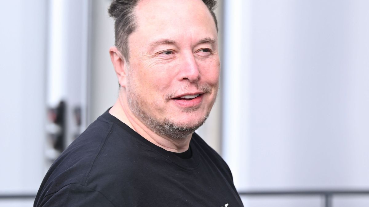 Tech-Milliardär und Tesla-Chef Elon Musk