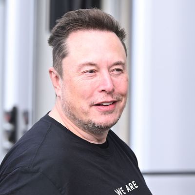 Tech-Milliardär und Tesla-Chef Elon Musk
