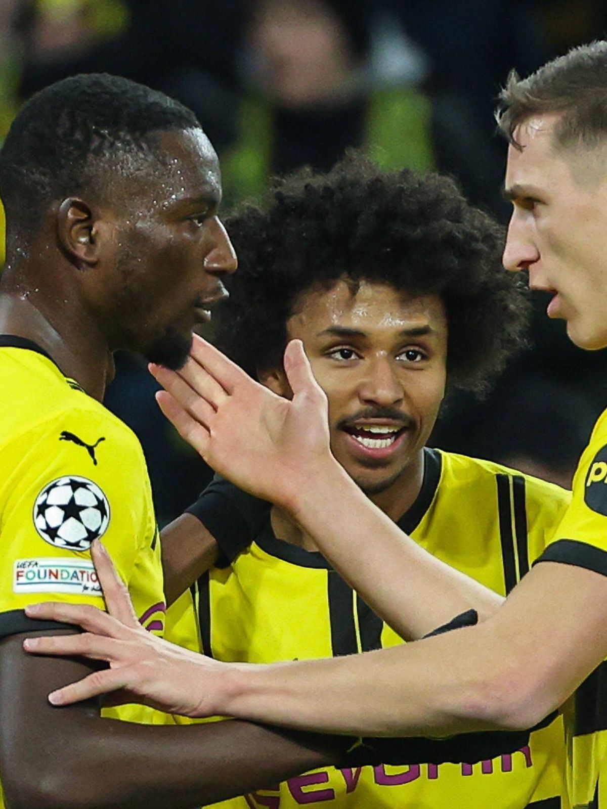 UEFA Champions League - Borussia Dortmund - Schachtar Donezk am 29.01.2025 im Signal Iduna Park in Dortmund 