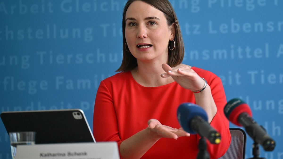 Gesundheitsministerin Schenk fordert Klarheit bei Klinikhilfen