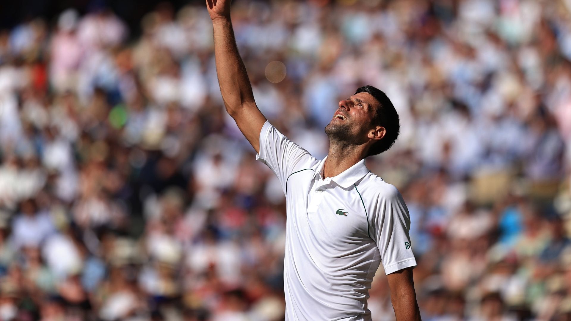 
                <strong>21 Siege: Novak Djokovic (Serbien)</strong><br>
                9 x Melbourne (2008, 2011 - 2013, 2015, 2016, 2019 - 2021)2 x Paris (2016, 2021)7 x Wimbledon (2011, 2014, 2015, 2018, 2019, 2021, 2022)3 x New York (2011, 2015, 2018)
              