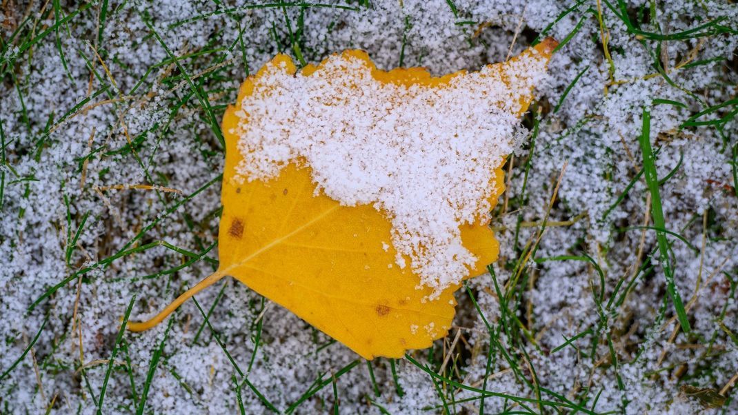 Schnee und Glättegefahr auf Deutschlands Straßen bringt das Winterwetter in der nächsten Woche mit sich.