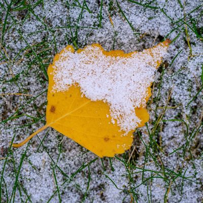 Winterwetter in Deutschland
