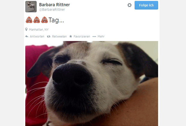 
                <strong>Klare Worte </strong><br>
                Nach dem Ende aller Hoffnungen bei den US Open schickte Barbara Rittner drei grinsende Misthaufen per Tweet in die Welt. Es war eben ein schwarzer Tag für die deutschen Tennisspielerinnen.
              